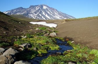 Creëer een natuurlijke oase in je woonruimte